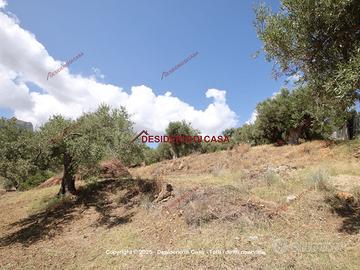 Terreno, Termini Imerese.
