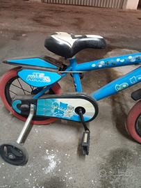 bicicletta 