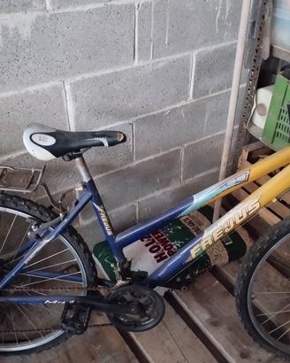 Mountain bike ragazzo