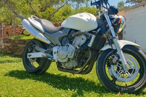 honda hornet
