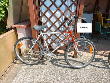 Biciclette varie a partire da 70 euro