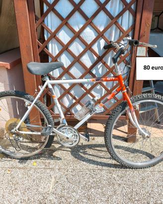 Biciclette varie a partire da 70 euro