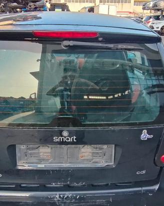 SMART 450 2006 PORTELLONE POSTERIORE