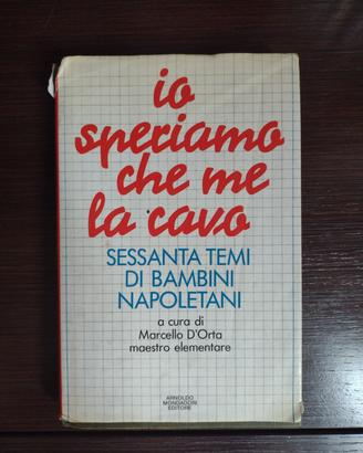 Io speriamo che me la cavo 