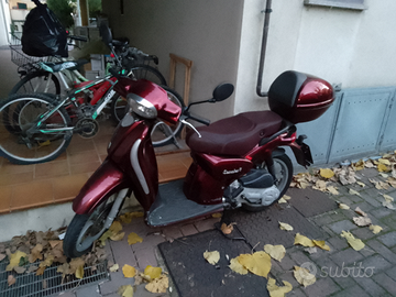 Scarabeo 100 4T targa RSM