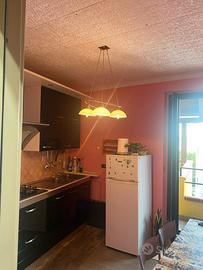 Appartamento paglieta centro