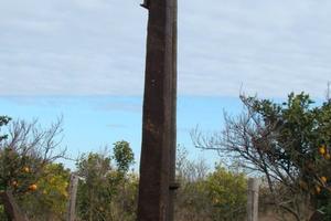 ANCORA AMMIRAGLIATO di grosse dimensioni