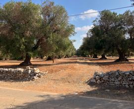 Terreno agricolo edificabile