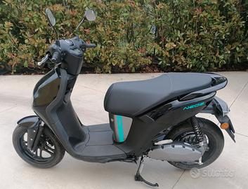 Yamaha Neo's - 2024