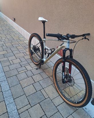 Mtb specialized  taglia L 
