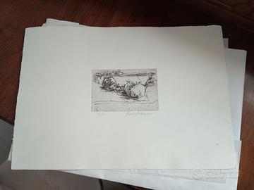 Litografia melograno in bianco e nero di E.Faraoni