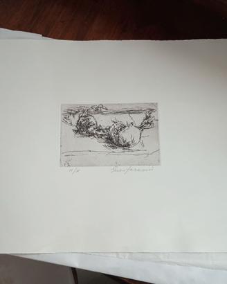 Litografia melograno in bianco e nero di E.Faraoni