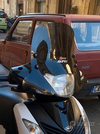 Cupolino Faco Sh 125