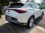 Immagine 5