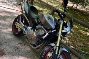 Honda Hornet 600