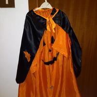 costume halloween da zucca 