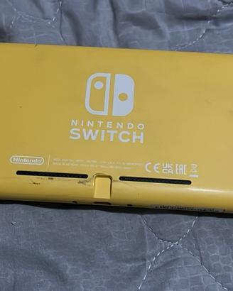 Intendo switch