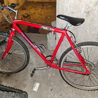 Bici Giants