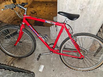 Bici Giants