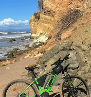 Mountain Bike Elettrica Whistle