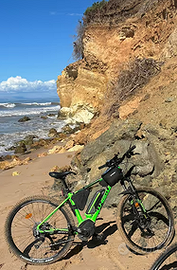 Mountain Bike Elettrica Whistle