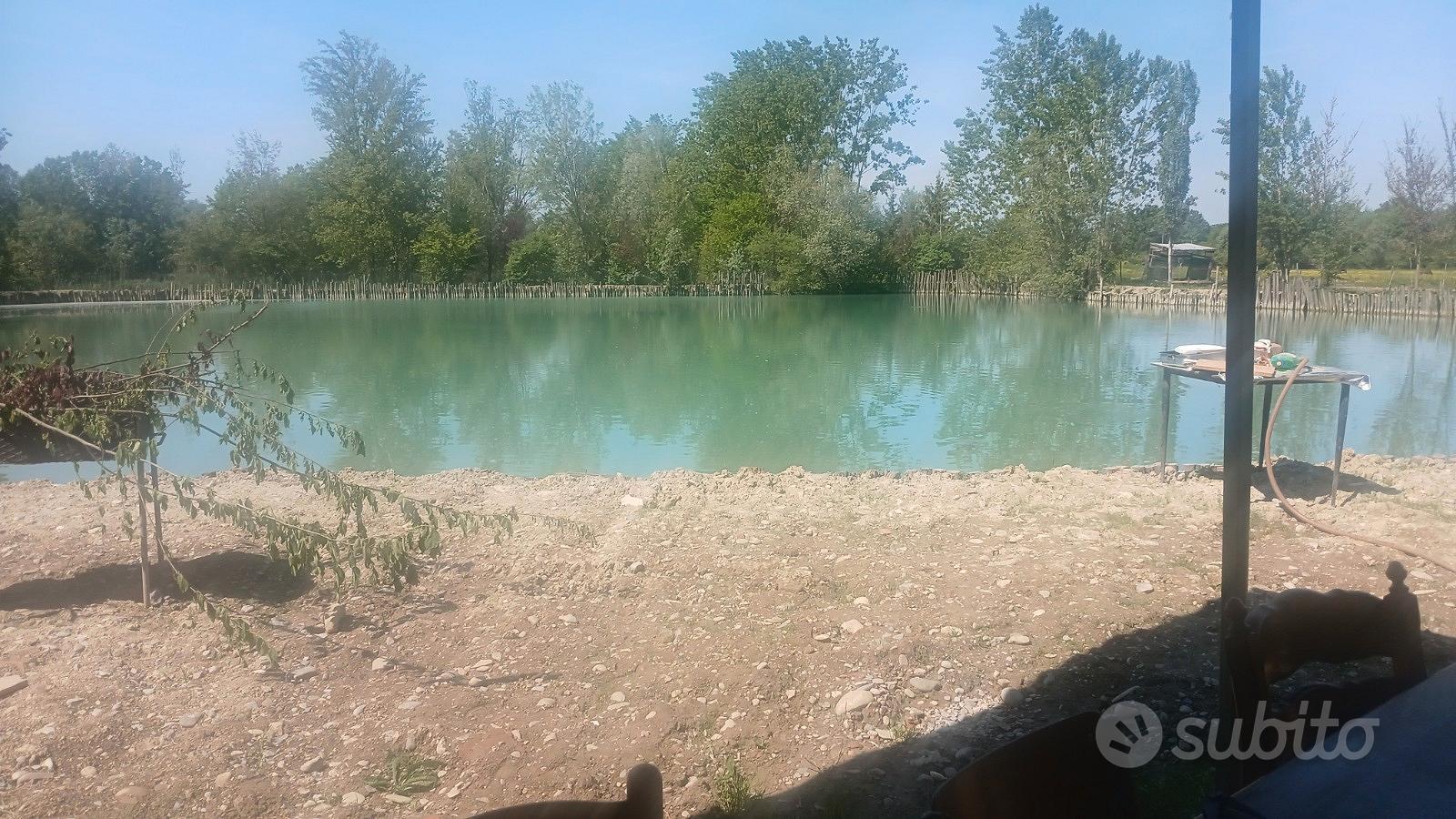 Terreno con lago - Vista 5