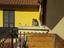 Immagine 12