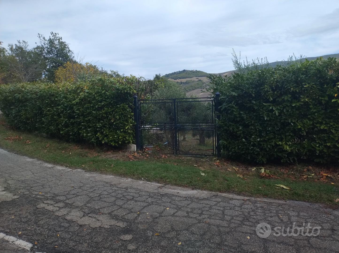 Terreno di 2600mq con casetta di legno di 32mq - Vista 2