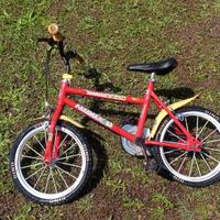 Bicicletta da bambino