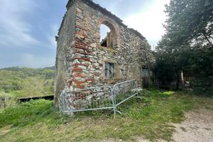 TER. AGRICOLO A PIEVE A NIEVOLE