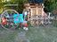Immagine 1