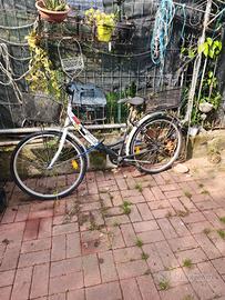 bici donna 