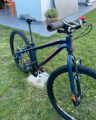 Bici bambino 24