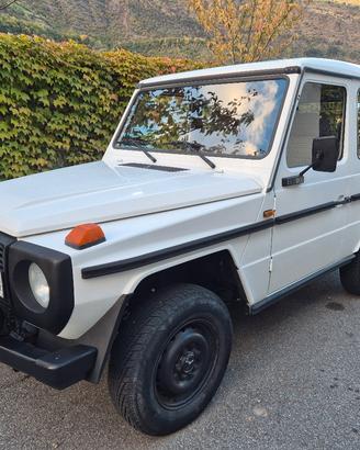 Mercedes G 290