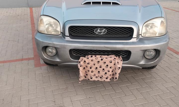 Hyundai santa fe 2002