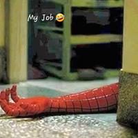 Disinfestazione Ragni