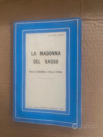 Libro la madonna del sasso