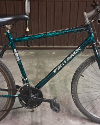 bicicletta ruota 26