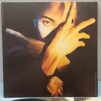 Terence Trent D'Arby 
Neither Fish Nor Flesh