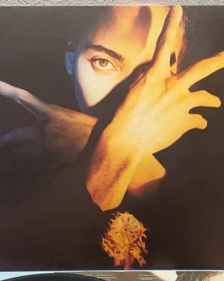 Terence Trent D'Arby 
Neither Fish Nor Flesh