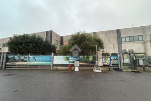 COMPLESSO A GUDO VISCONTI