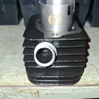 Gruppo termico Olympia 65cc