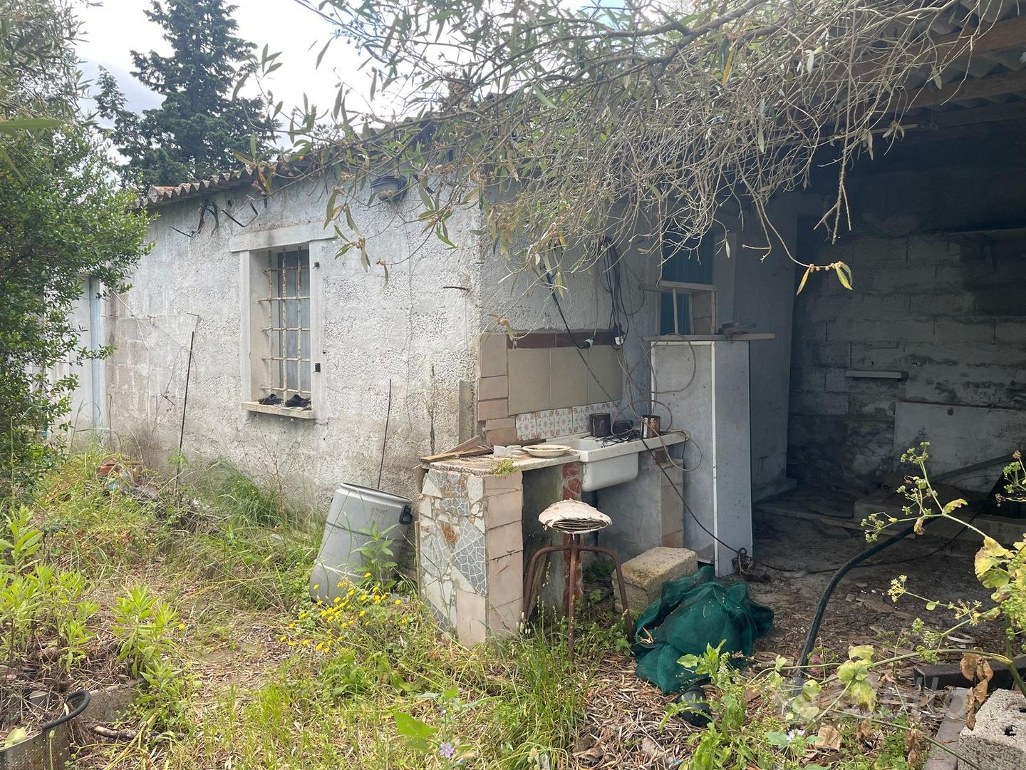 Guspini - Lotto agricolo con Ricovero attrezzi - Vista 2