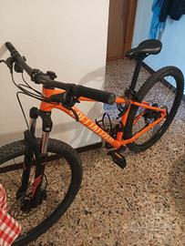 Specialized Rockhopper Sport 29 taglia M