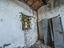 Immagine 10