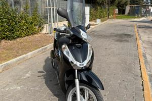 Sh 300 Abs 2017