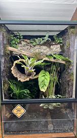 Terrario