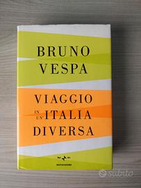 Bruno Vespa - Viaggio in un'Italia diversa