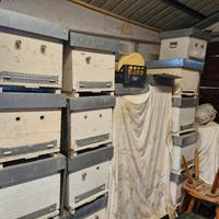 Materiale Apistico - Arnie 