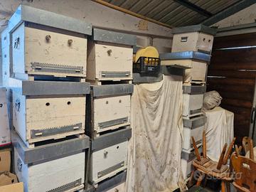 Materiale Apistico - Arnie 